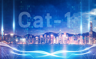 工信部重磅發(fā)文，Cat-1/NB-IoT再次站上新風口
